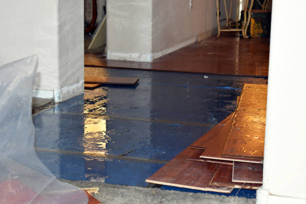 Professional Emergency Water Damage technician working in Hye, TX